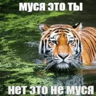 😰 emoji TT рандом | @DestroyThesePeopl Telegram sticker 12 of 99