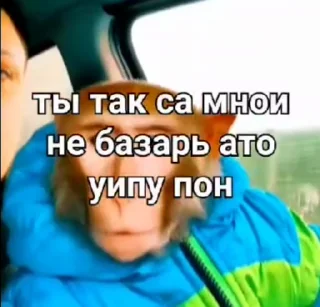 😡 emoji Бибизяны • @TgStickery Telegram sticker 21 of 44
