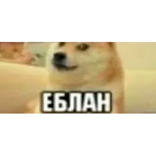 👃 emoji НУЖНО БЫТЬ Telegram sticker 12 of 114