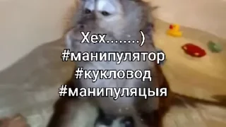🌟 emoji беды с башкой мишы 2.0 Telegram sticker 24 of 120