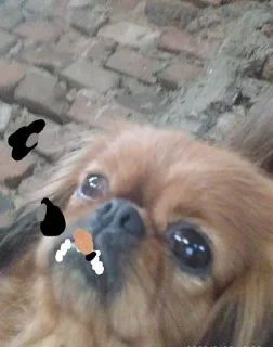 Sticker from Быть счастливым