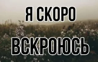 Sticker from Быть ахуенно