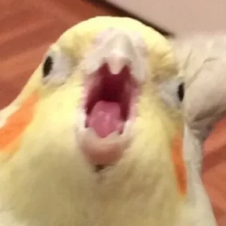 😲 emoji Без названия❤️ Telegram sticker 14 of 40