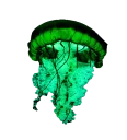 🐉 emoji Jellyfish Telegram sticker 7 of 25