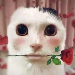 Sticker from Котейки