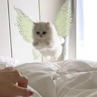 🌟 emoji котейки? Telegram sticker 20 of 31