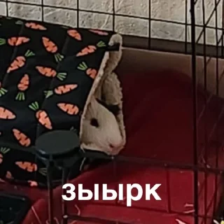 🌟 emoji Порося Telegram sticker 13 of 58