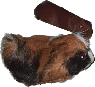 Sticker from Беба и Трюфа