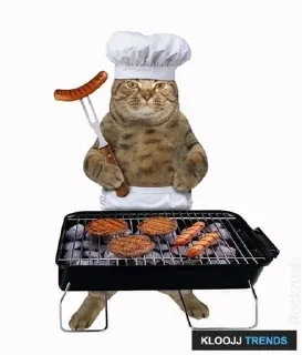👩‍🍳 emoji котіки Telegram sticker 7 of 15
