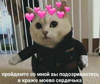 🧸 emoji секс рабство Telegram sticker 24 of 31