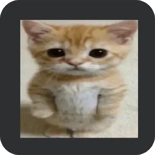 🐒 emoji zxc? Telegram sticker 20 of 40
