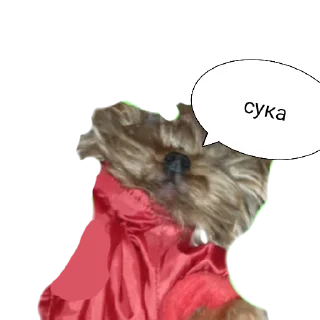 🙃 emoji дин 18+ Telegram sticker 5 of 6