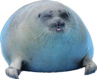 😝 emoji Silly seal Telegram sticker 17 of 33