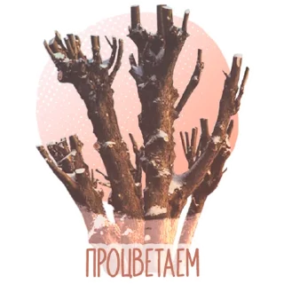 🌳 emoji Город для людей Telegram sticker 17 of 23