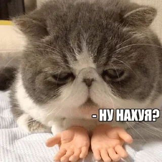 😩 emoji Volodya Telegram sticker 9 of 16