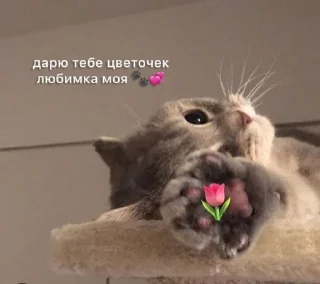 🌷 emoji То, что нужно😎 Telegram sticker 8 of 30