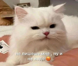 😣 emoji То, что нужно😎 Telegram sticker 1 of 30