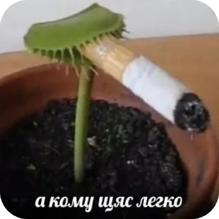 👍 emoji Ахуеть Telegram sticker 1 of 120