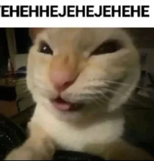 Sticker from крутой сигма