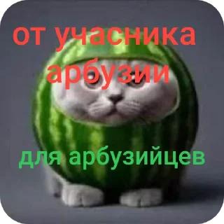 🐦 emoji доктор ай комарик Telegram sticker 14 of 46