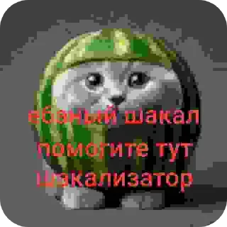 🔳 emoji доктор ай комарик Telegram sticker 19 of 46