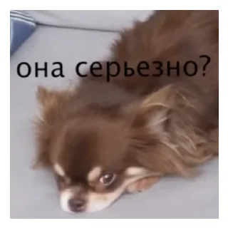 😶 emoji Медик фемели стикерс Telegram sticker 12 of 22