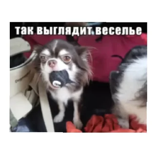 😄 emoji Медик фемели стикерс Telegram sticker 7 of 22