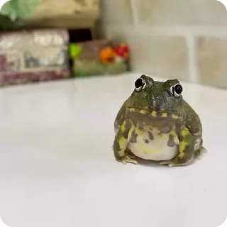 🌟 emoji Жаба Telegram sticker 8 of 50