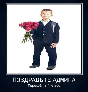 🥶 emoji Мама я не гей Telegram sticker 19 of 60