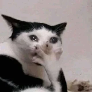 😢 emoji Треш Telegram sticker 20 of 53