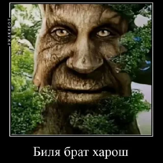 Sticker from Дерево Ебать