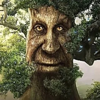 🌳 emoji [@tiktok4memes] Мудрое мистическое дерево Telegram sticker 1 of 22