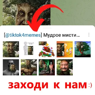 👍 emoji [@tiktok4memes] Мудрое мистическое дерево Telegram sticker 22 of 22