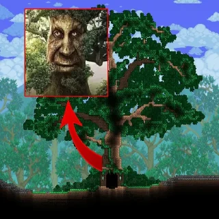 🌳 emoji [@tiktok4memes] Мудрое мистическое дерево Telegram sticker 8 of 22