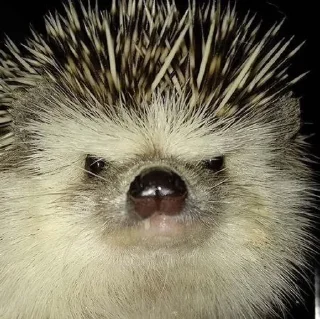 😡 emoji Для прекрасной Алёны♡ Telegram sticker 19 of 81