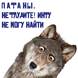 🐺 emoji Porn lovers Telegram sticker 20 of 65