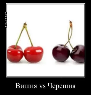 Sticker from Ахуеть я черешня