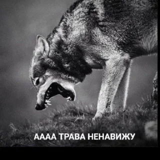 😠 emoji белиберда Telegram sticker 11 of 60