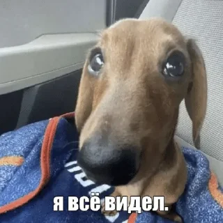 👀 emoji смешные картинки Telegram sticker 16 of 52