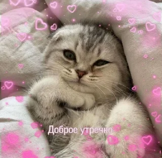 ☀️ emoji Пикчи от Доши Telegram sticker 10 of 120