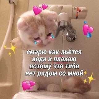 🥹 emoji Пикчи от Доши Telegram sticker 22 of 120