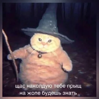 🧙‍♂ emoji Котыыыы Telegram sticker 8 of 44