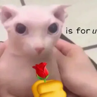 ❤️ emoji лазарев топ Telegram sticker 7 of 31