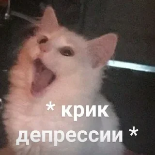 😩 emoji Valin.Pak4.0 Telegram sticker 14 of 101