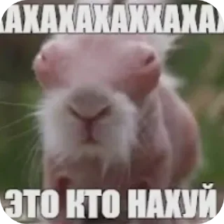 🖼 emoji Арбуз Telegram sticker 16 of 120
