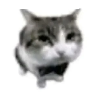 😨 emoji идите нахуй все Telegram sticker 9 of 10