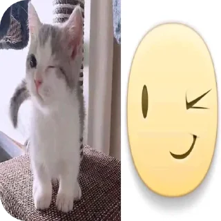 🐱 emoji страгл. Telegram sticker 15 of 40