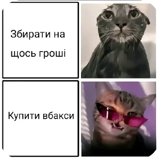 😎 emoji Хуйня максіма Telegram sticker 18 of 94