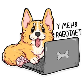 🤷‍♂️ emoji корги кодеры (@kotypic) Telegram sticker 8 of 27