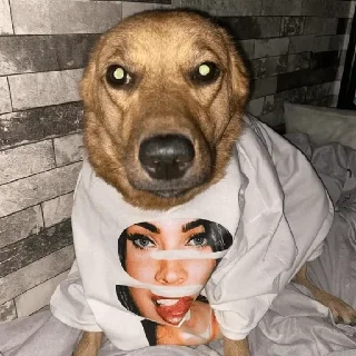 🐶 emoji Да есть же Telegram sticker 9 of 17